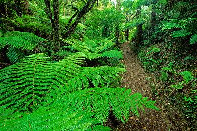 《匹诺曹的谎言》总监：魂类游戏不应该有难度选项